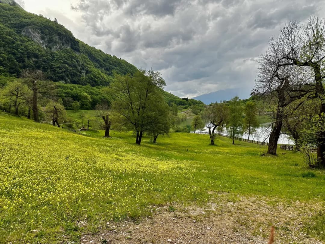 Trasy rowerowe wokół jezior: odkryj najpiękniejsze szlaki i widoki