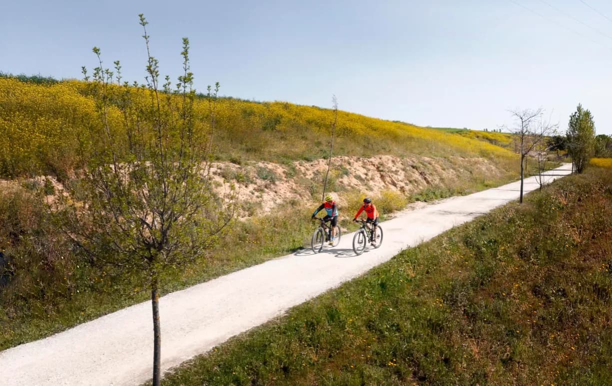 Najpiękniejsze trasy rowerowe w Polsce - odkryj malownicze szlaki