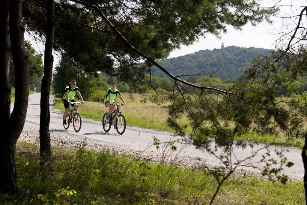 Najlepsze trasy rowerowe w Kielcach - poznaj różne poziomy trudności