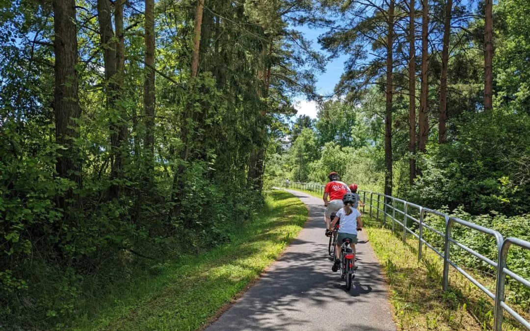 Rodzinne trasy rowerowe w Małopolsce - bezpieczne i przyjemne dla dzieci