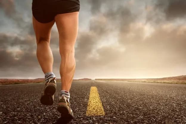 Gdzie biegać w Gdańsku? Najlepsze trasy i ukryte miejsca do joggingu