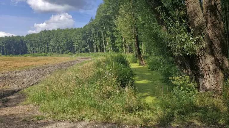 Najlepsze trasy rowerowe w Iławie: odkryj piękno regionu bez trwogi